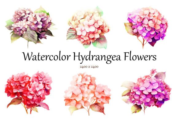 Transform Your Creative Projects with Watercolor Hydrangea Flowers Clipart