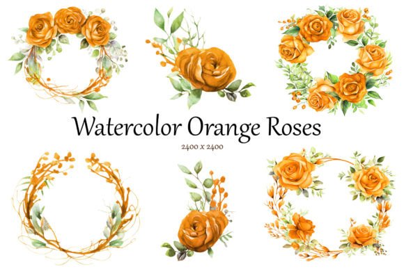 Watercolor Orange Roses Clipart: Elevating Your Creative Projects with Warmth and Elegance